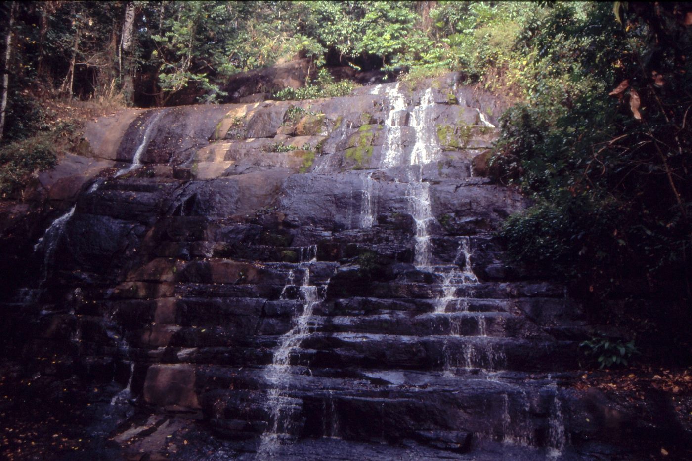 Parc national du Mont Sangbé