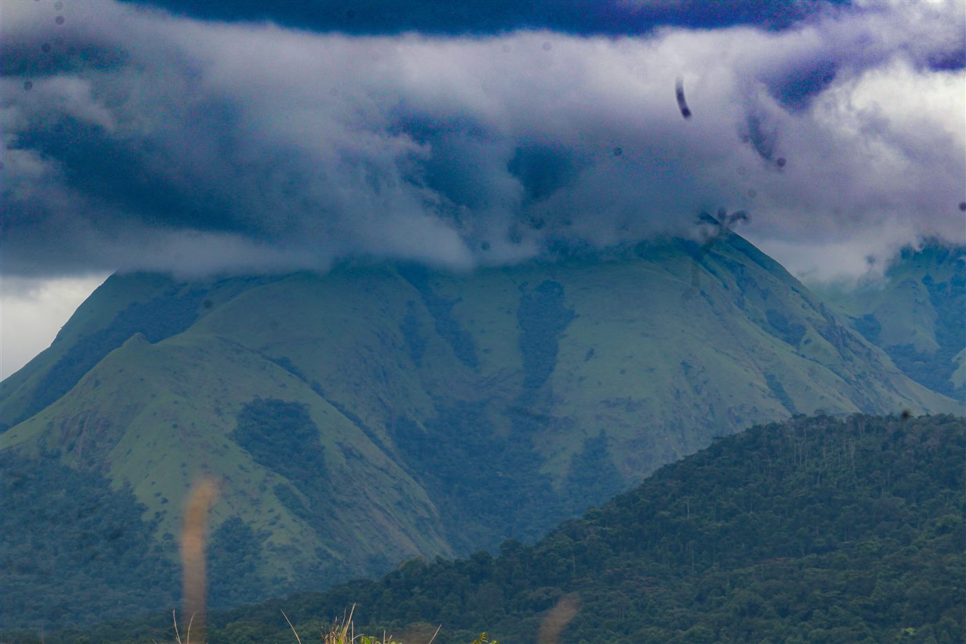 Mont Nimba
