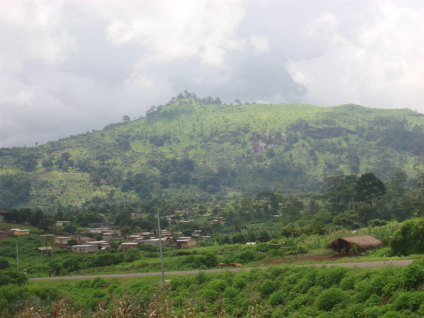 Biankouma